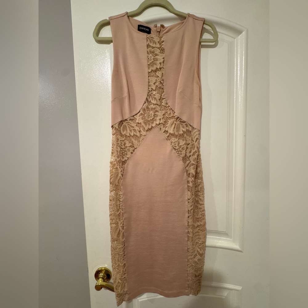 Pink Lace Panel Dress